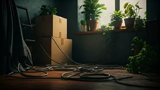 Unlock Your Potential: 7 Home Habits Holding You Back, According to Feng Shui