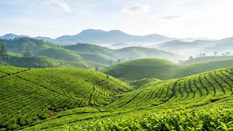Plan a budget 6-day Sri Lanka trip