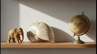 A Travel Shelf Needs Empty Space As Much As It Needs Objects