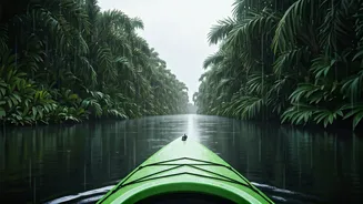 Rainy Weekends Need A Backwater Kayaking Trip
