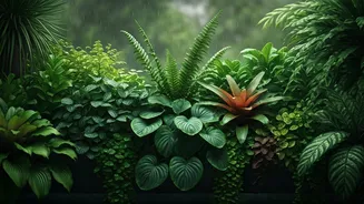Rainy Days Need Greener Balconies