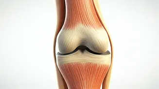 Knee Care: Orthopaedic Doctor's Tips for Joint Health