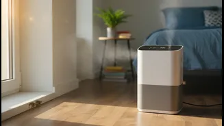 Why Non-Invasive Humidity Controls Save Renters From Security Deposit Deductions This Monsoon