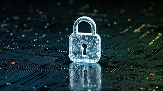 Haryana's Cyber Security Push: Empowering Youth