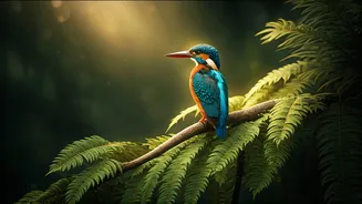 Birdwatching In Delhi Feels Like A Secret Escape