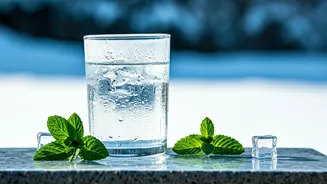 Winter Wellness: The Smart Guide to Hydration