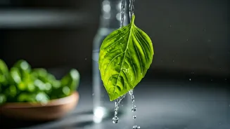 Monsoon Nutrition Starts With This Easy Change