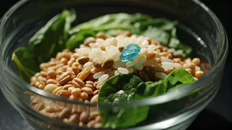 New Indian Study Outlines Microplastic Risks In Daily Diets