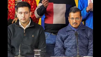 Can Raghav Chadha Legally ‘Merge’ Kejriwal’s AAP With BJP? Not Sena, Goa Case May Give The Answer