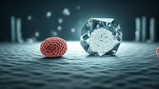 Sweet Deception? Unpacking the Surprising Health Impacts of Sugar Substitutes