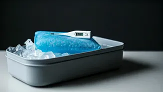 Safer Lunchbox Choices Start With Heat Awareness