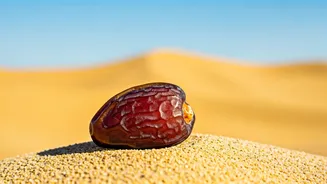 Desert Dates: Eat This For Daily Wellness