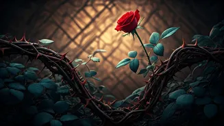 Breaking the Cycle: Understanding Why You Attract Similar Painful Situations