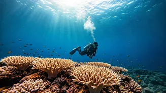 Underwater Calm: How a Scuba Dive Reshaped Sundar Pichai's Leadership Philosophy