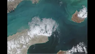 Trump Says US Marines Seized Iranian Ship ‘Touska’, Tehran Calls Move ‘Armed Piracy’