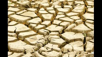 Understanding the Impact of Extreme Heat on Mental Health