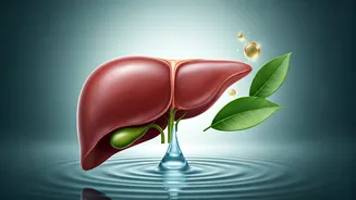 Related Stories banner