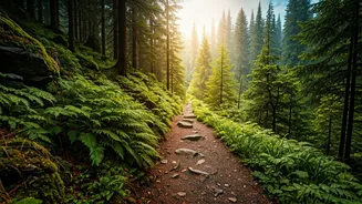 Why Kudremukh Wilderness Paths Beat Out Commercial Holiday Hill Destinations