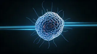 5 Science-Backed Habits for a Longer, Healthier Life