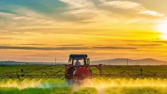 AI-Driven Farming Hacks: Low-Cost Smartphone Sensors Protect Harvests In Punjab And Maharashtra