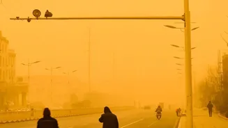 The Habitat Design Question Is How to Stop Dust before It Reaches the Air