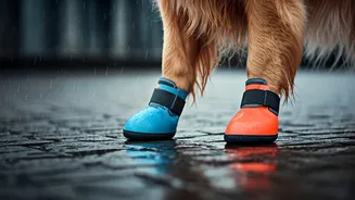 Billion Dollar Industry Launches Innovative Monsoon Proof Paw Protectors
