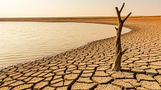 Mumbai's Water Woes: Corporators Demand Scientific Survey of Silted Lakes Amidst Rising Temperatures