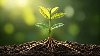 Building Lasting Love: 5 Essential Habits for a Thriving Relationship