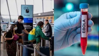 Ebola outbreaks in Central Africa, India risk low for now