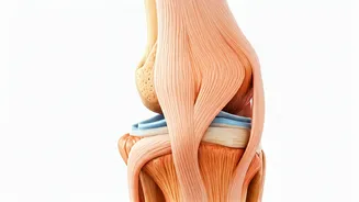 Knee Health in Your 40s & 50s: Expert Advice
