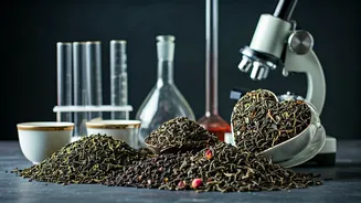 Decoding Your Tea Ritual: Health Benefits Unveiled