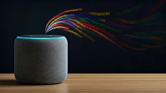 Improve Conversational Dialect Skills Via Indian Multi Lingual Virtual Assistants