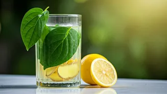 Traditional Betel Leaf Ginger Lemonade Solves Heavy Midday Lunch Slumps
