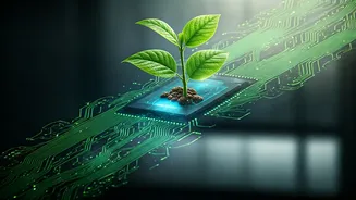 Micro Credentials In Climate Tech Guarantee Green Placement Boosts