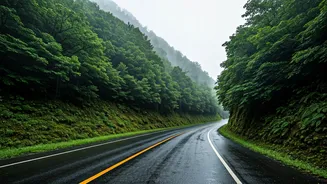 Time Perfect Weekend Road Trips Across Wet Western Ghats