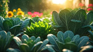 Discover Simple Eligibility Criteria For Indian Government Kitchen Garden Grants