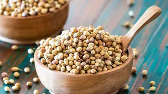 Coriander At ₹220/Kg: How Weather Disruptions Are Affecting Food Prices