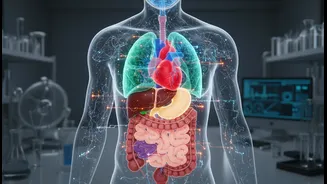 Organ-Specific Ageing Makes Health Science More Personal