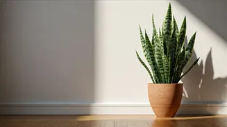 Unlock Positivity: Weekly Vastu Guidance for April 13-19, 2026 for Your Zodiac