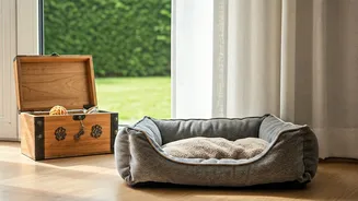 Planning Ahead: Wills and Your Beloved Pets