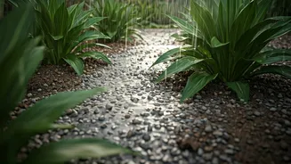 Gravel-Mix Soil Is The Smart Monsoon Fix