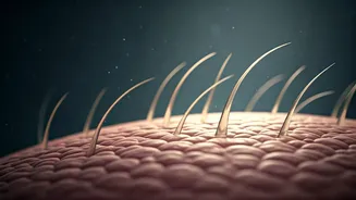 Hair Myths Debunked: Dermatologist Separates Fact from Fiction on Scalp and Hair Woes