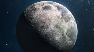 NASA Discovers 222m-Wide Moon Crater After Impact Went Undetected