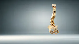 Malaika Arora's Viral Duck Walk: The Secret to Managing Lower Back Pain