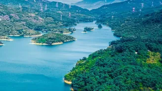 India's Reservoir Shortage: Simple Ways Urban Homes Can Prepare For Water Stress