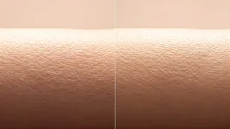 Related Stories banner