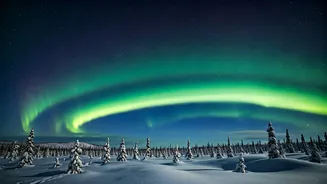 Aurora Watch: Your Guide to Northern Lights Forecasts and Solar Activity