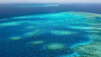 Lakshadweep Implements Sustainable Travel Regulations To Safeguard Atoll Coral Reefs From Tourism Pollution