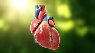 5 Heart-Healthy Habits You Can Start Today