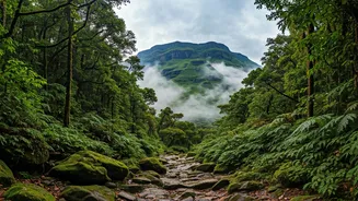 The Best Western Ghats Trails For Misty Emerald Green Views